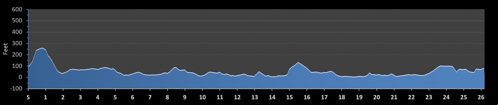 TCS New York City Marathon elevation profile